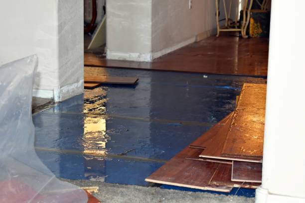 Professional Emergency Water Damage Restoration technician working in Glenmont, NY